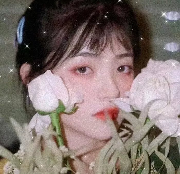戈戈舞的故事